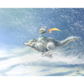 The Twilight Princess - Poster Print